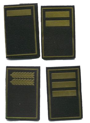 Polica Municipal Valladolid