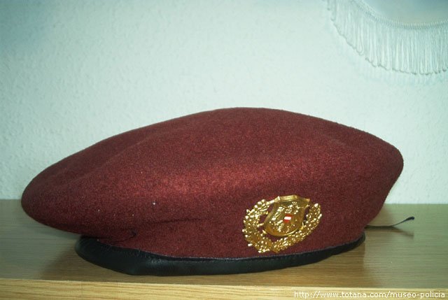 Cuerpo Especial Policia  (Austria)