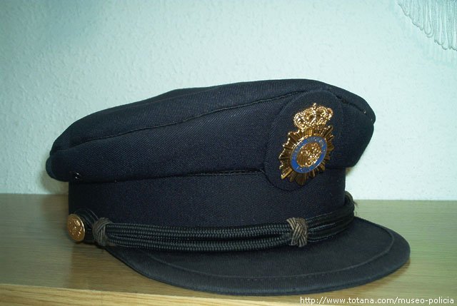 Cuerpo Nacional de Policia