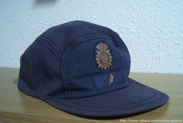 Cuerpo Nacional de Policia (Antidisturbios)