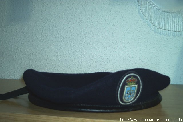 Policia Local Oviedo (Servicio Noche)